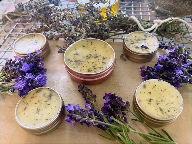 Lavender Dream